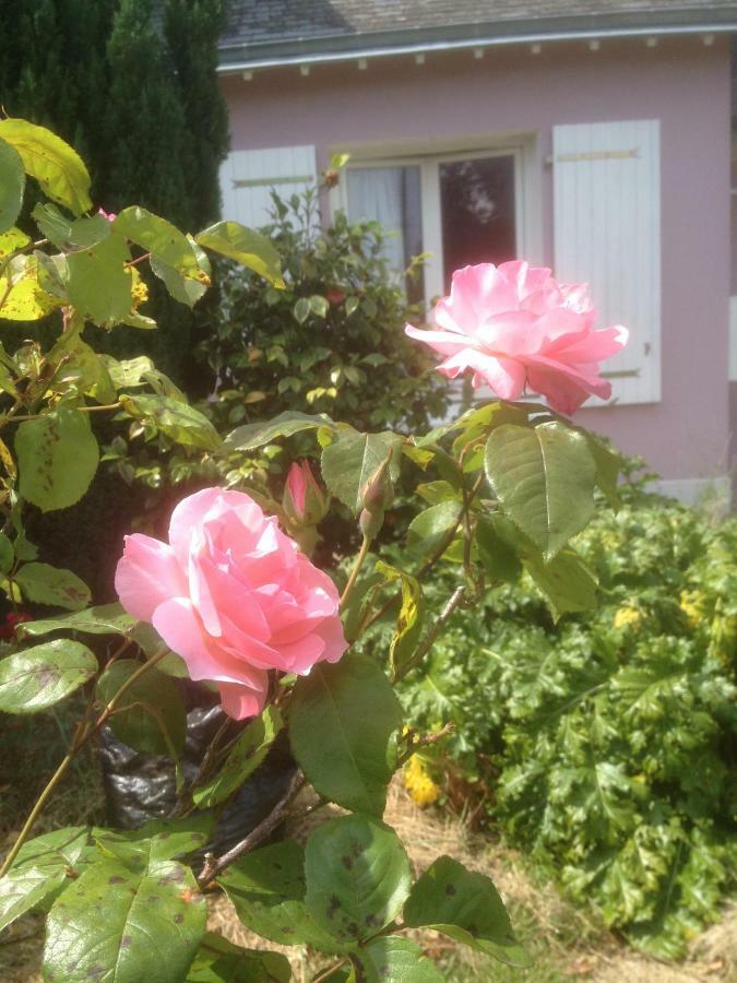Hon-Ty Bed & Breakfast Groix Bagian luar foto